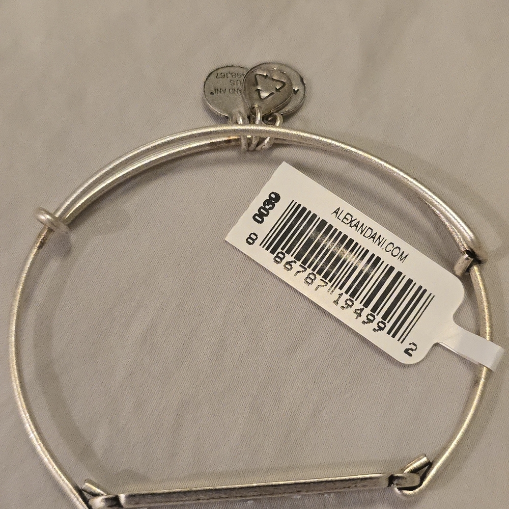 Alex and Ani Harry Potter the chosen one bracket